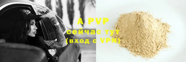 хмурый Абаза