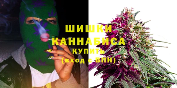 хмурый Абаза
