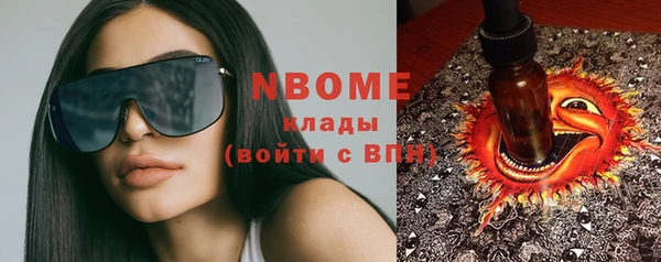 хмурый Абаза