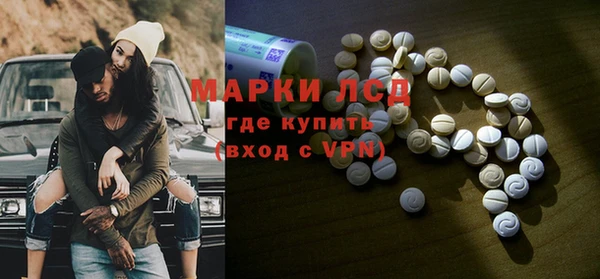 хмурый Абаза
