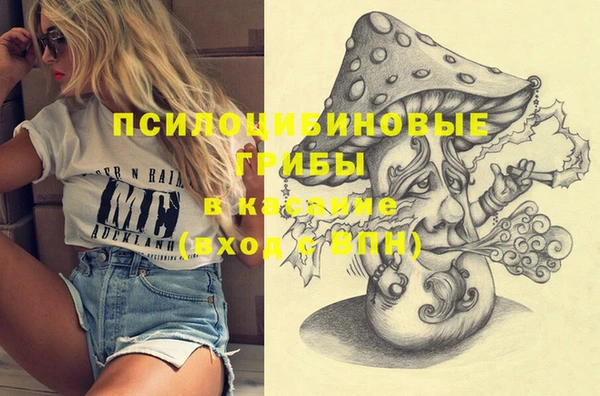 хмурый Абаза
