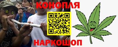 индика Краснознаменск