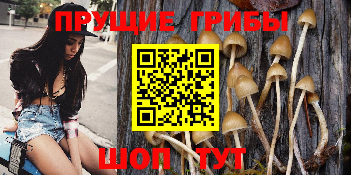 Псилоцибиновые грибы мухоморы Ялуторовск